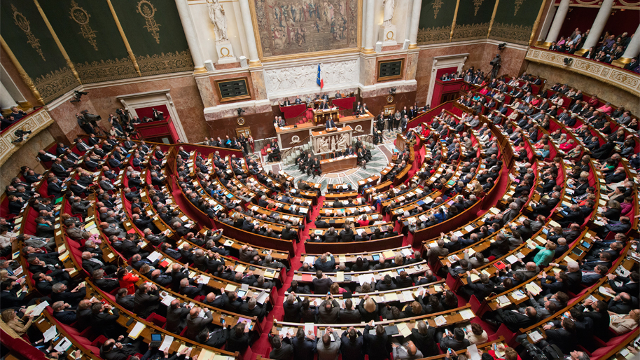 Les élections législatives de 2024 permettent d’élire les députées de l’Assemblée nationale.